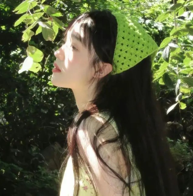 光环第一季